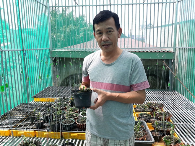 “Het hon” voi nhung phien mua ban, dau gia lan dot bien bac ti