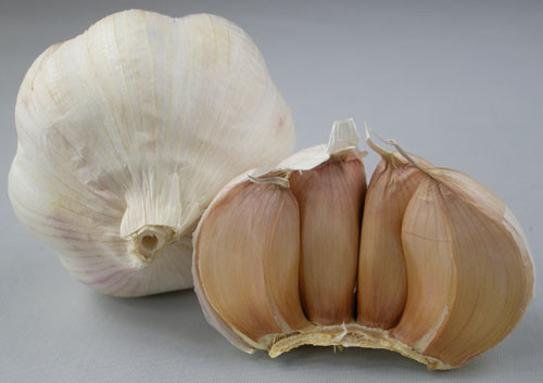 Thêm tỏi vào bữa ăn gia đình.Tỏi được coi là “vua” của các loại gia vị vì nó có tác dụng phòng ngừa cảm cúm và chứa những hợp chất “đánh bại” các tế bào ung thư nguy hiểm như ung thư da, ruột, vú và dạ dày. Đông y còn sử dụng tỏi như một vị thuốc để điều hòa huyết áp, chống mất ngủ, giảm đau cho bệnh nhân viêm khớp…