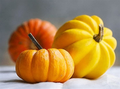 Mặt nạ bằng bí ngô+mật ong. Bí ngô giàu vitamin A, C, beta-carotene, kali và kẽm, rất có lợi cho tóc. Mật ong là một chất dưỡng ẩm tự nhiên, giúp tóc luôn mềm mịn, mượt mà. Nghiền nát một cốc bí ngô, trộn thêm 1 - 2 thìa mật ong. Thoa hỗn hợp lên tóc và da đầu. Ủ tóc trong một chiếc khăn hoặc mũ tắm trong 15 phút rồi gội sạch lại.