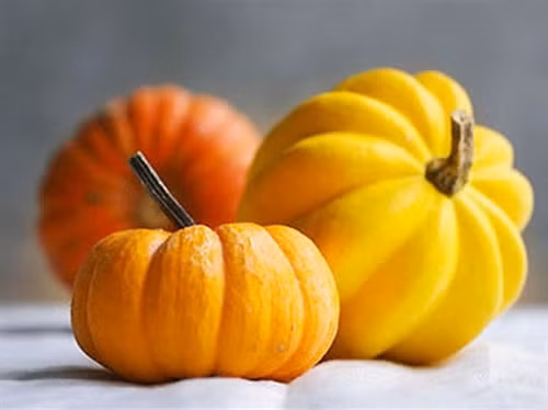 Mặt nạ bằng bí ngô+mật ong. Bí ngô giàu vitamin A, C, beta-carotene, kali và kẽm, rất có lợi cho tóc. Mật ong là một chất dưỡng ẩm tự nhiên, giúp tóc luôn mềm mịn, mượt mà. Nghiền nát một cốc bí ngô, trộn thêm 1 - 2 thìa mật ong. Thoa hỗn hợp lên tóc và da đầu. Ủ tóc trong một chiếc khăn hoặc mũ tắm trong 15 phút rồi gội sạch lại.