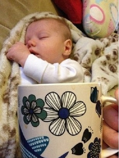 Thiên thần bé nhỏ ưỡn mình chui ra khỏi chiếc cốc hoa.