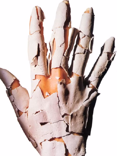 Lãng quên đôi tay. Ngoài việc tránh được buốt giá khi giặt rửa, việc đeo găng tay còn có một công dụng tuyệt vời nữa, đó là giúp móng tay không bị nứt, hay bong tróc. Vì các loại xà phòng rửa tay chống khuẩn có thể gây khô da, bạn hãy chọn loại sữa rửa dạng kem nhẹ, rửa sạch với nước hơi ấm và thoa kem dưỡng tay thường xuyên. Mỗi tuần, bạn nên chà dầu dưỡng tế bào biểu bì quanh móng để giữ ẩm.