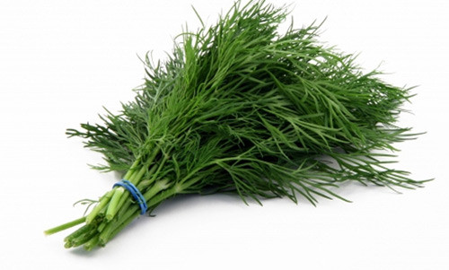 Thì là là một trong những cây gia vị quen thuộc của Việt Nam. Tuy nhiên, không phải ai cũng biết cây thì là lại là một loại thảo dược nổi tiếng với hiệu quả tăng nguồn sữa. Trong cây thì là có chứa nhiều các hợp chất như anethole, dianethole và photoanethole. Năm 1980, trên tạp chí Journal of Ethnopharmacology đã đưa ra một công bố rằng các hợp chất có trong cây thì là có thể kích thích sự sản xuất estrogen và prolactin - cần thiết để sản xuất sữa mẹ.