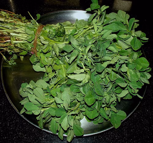 Cỏ cà ri. Cỏ cà ri là một loại thực phẩm an toàn với phụ nữ sau sinh, và nó có thể được phụ nữ sử dụng trong một thời gian dài. Cỏ cà ri giúp kích thích tuyến sữa trong vú để sản xuất sữa nhiều hơn. Cỏ cà ri thường được sử dụng để tăng nguồn cung cấp sữa trong ngắn hạn. Tuy nhiên, thực phẩm này cũng có thể được sử dụng một cách an toàn trong một thời gian dài. Phụ nữ có thể sử dụng thực phẩm này cho đến sữa mẹ đầy đủ hơn.