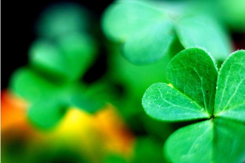 Ngoài ra, từ lâu, các nhà khoa học cũng thừa nhận khả năng đậu nành, cỏ linh lăng, cỏ ba lá đỏ có thể giúp tăng kích thước núi đôi bằng cách nâng cao mức estrogen.