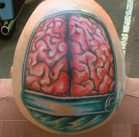 Giải phẫu não người.