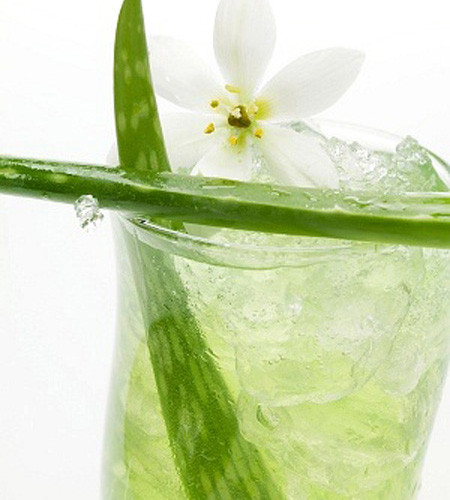 Nước ép lô hội. Lô hội có tác dụng giải độc cơ thể, hỗ trợ tiêu hóa vì thế sẽ rất tốt cho những ai hay gặp vấn đề nóng trong, nổi mụn. Lô hội tăng cường hệ thống miễn dịch cho cơ thể, tăng cường tuần hoàn máu, tăng cường can xi và các axit amin vì thế giúp da sáng hồng hơn.