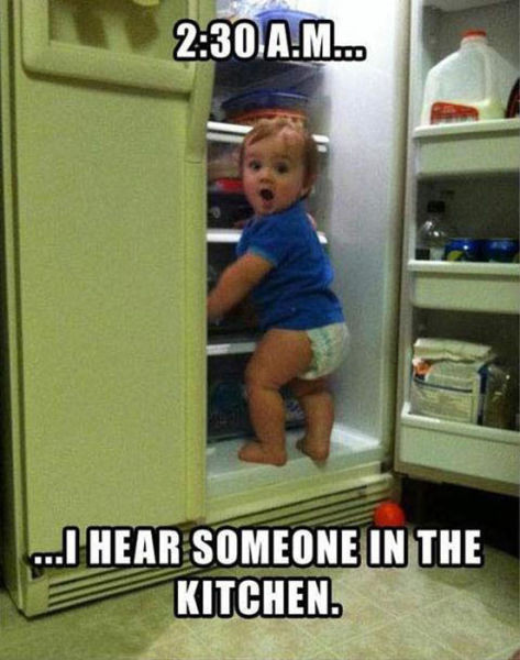 Cuộc phiêu lưu của bé trong tủ lạnh.