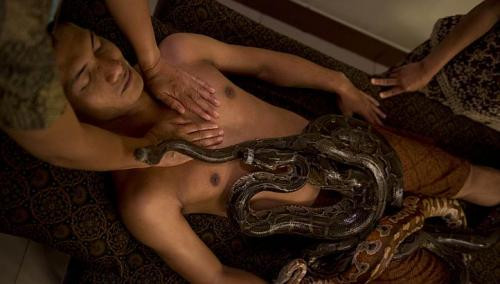 Hai chuyên viên của spa cũng tham gia vào buổi massage để đảm bảo an toàn và miệng các chú trăn được dính chặt bằng băng dính.