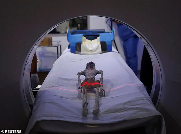 Tiet lo gay soc ve xac nghi cua nguoi ngoai hanh tinh o Mexico-Hinh-3