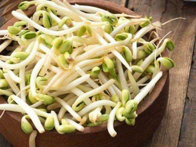 Thấy giá đỗ có dấu hiệu này đừng mua kẻo rước bệnh vào thân - Hình 3 Thay gia do co dau hieu nay dung mua keo ruoc benh vao than-Hinh-3