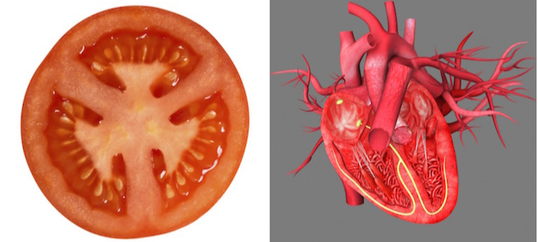 Dieu bat ngo khi an moi ngay mot qua ca chua