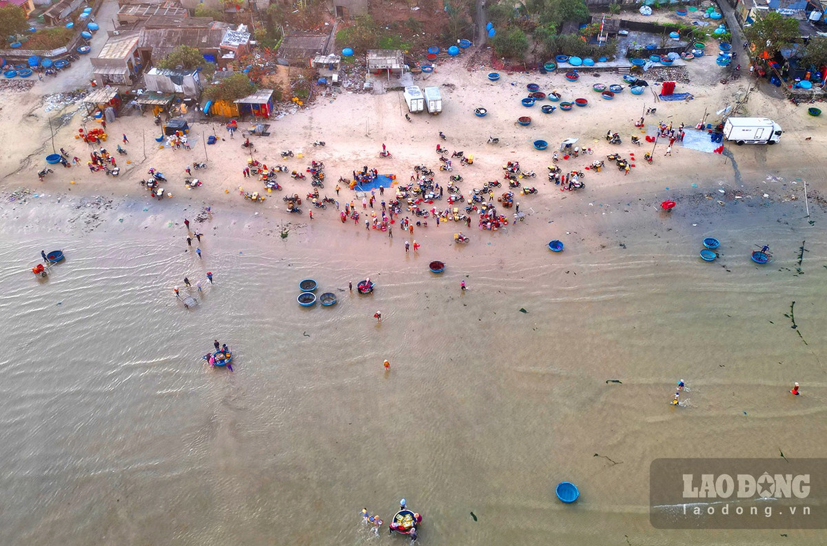 Cho lang bien o Quang Ngai, tren troi anh binh minh-Hinh-2