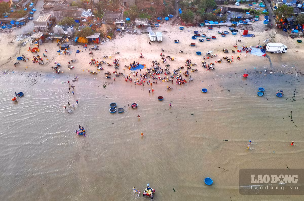 Cho lang bien o Quang Ngai, tren troi anh binh minh-Hinh-2