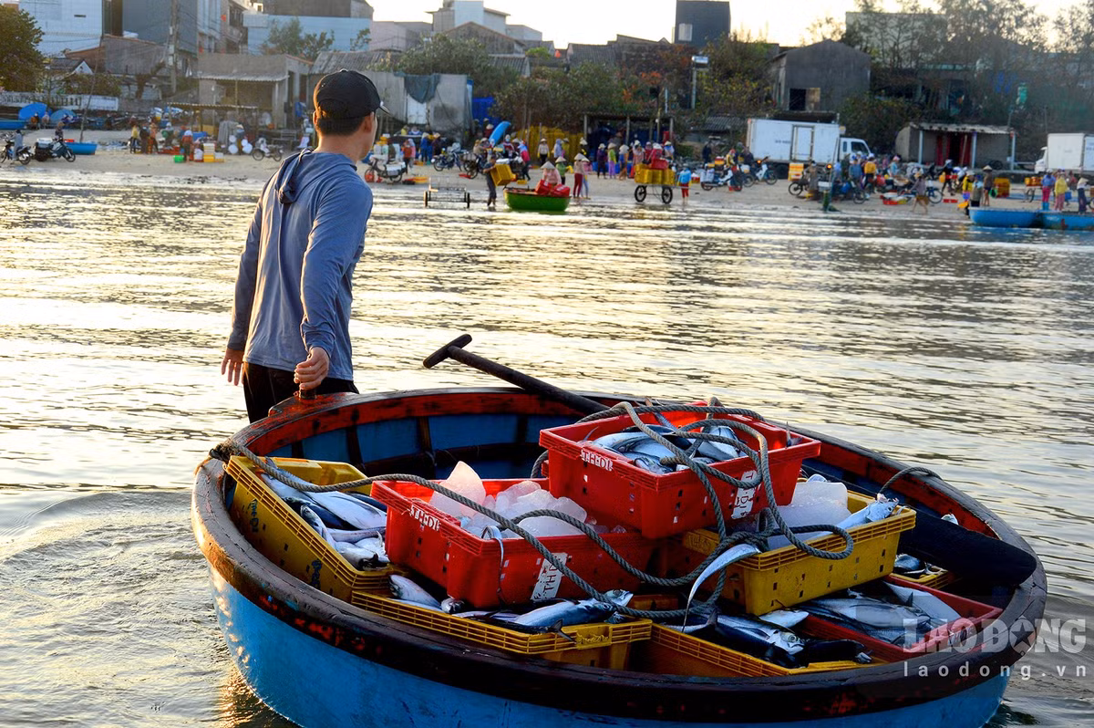 Cho lang bien o Quang Ngai, tren troi anh binh minh-Hinh-3