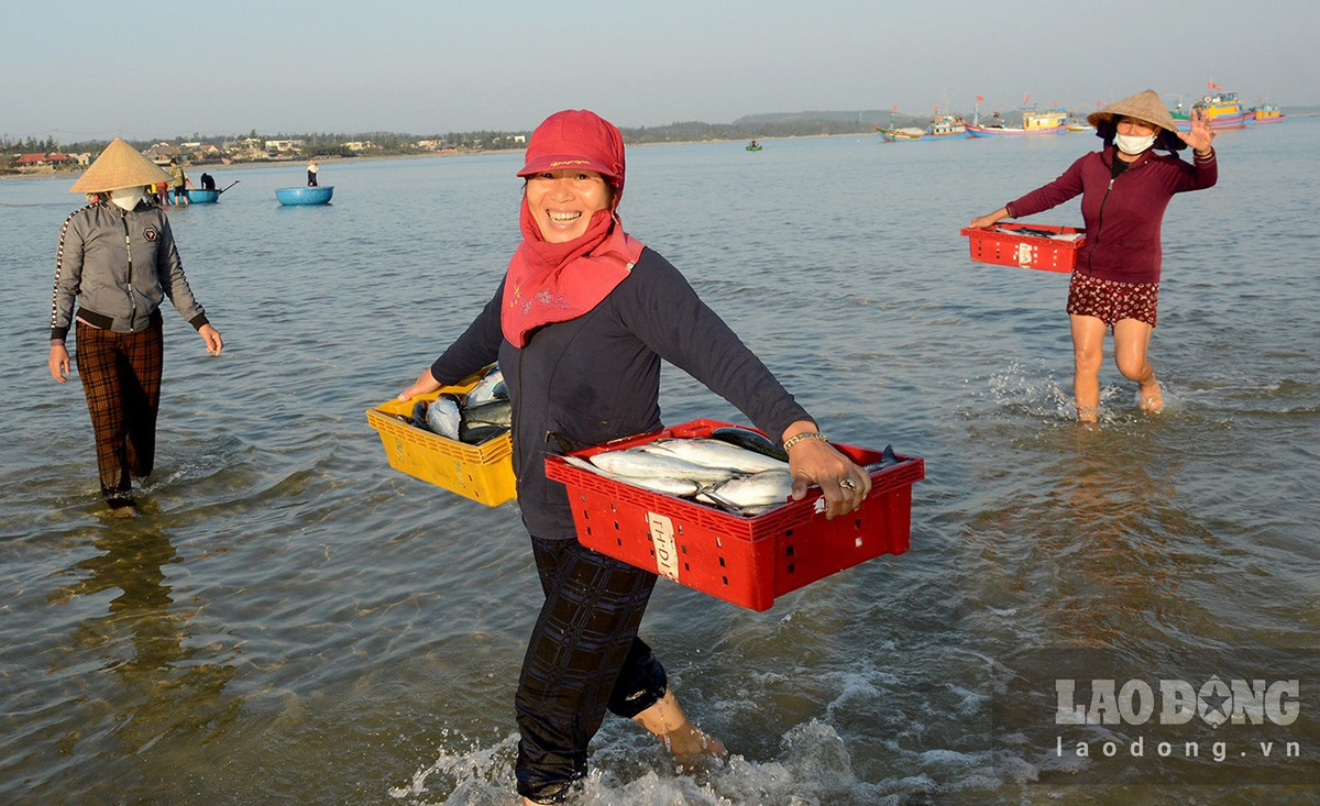 Cho lang bien o Quang Ngai, tren troi anh binh minh-Hinh-9