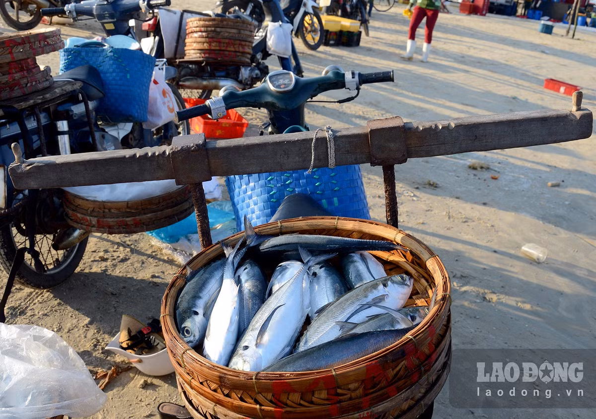 Cho lang bien o Quang Ngai, tren troi anh binh minh-Hinh-10
