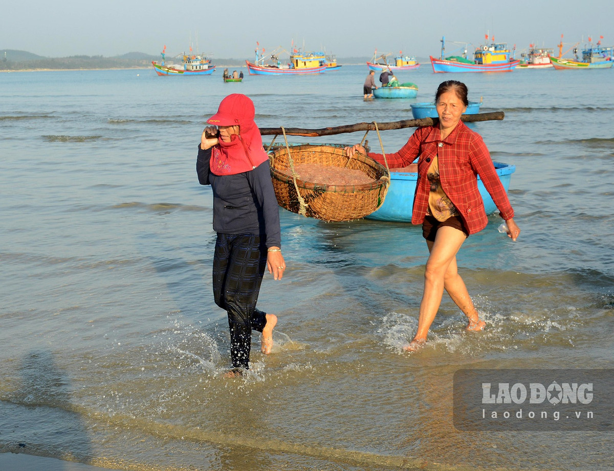 Cho lang bien o Quang Ngai, tren troi anh binh minh-Hinh-12