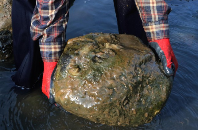 Khu vực có nước thải dong riềng đi qua đều bám thành từng mảng và bốc mùi.