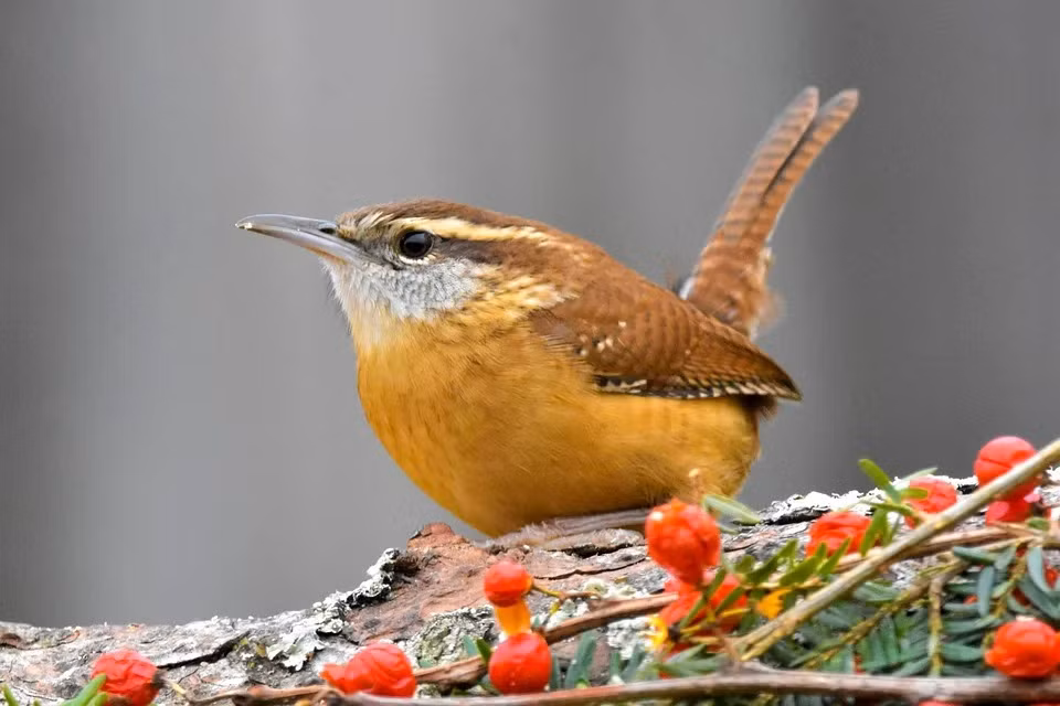 Sinh ngay Am lich nay ca nam may man, suot doi khong phai di duong vong
