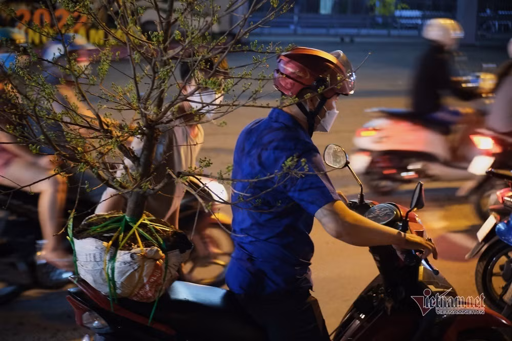 An ngu cung chuot cong: Nguoi ban hoa kiem Tet, chuot bam cho kiem an-Hinh-6