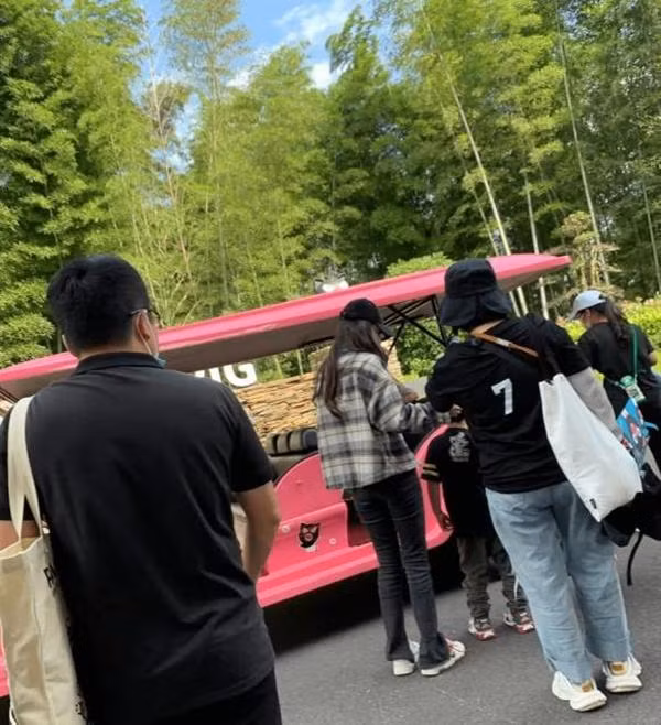 Angelababy dua quy tu di choi giua luc Huynh Hieu Minh hen ho hot girl-Hinh-2