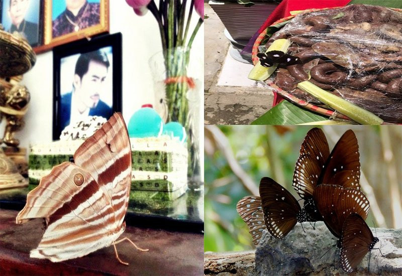 2 dấu hiệu trên bàn thờ chứng tỏ gia chủ được ăn lộc tổ tiên tiêu không hết của 2 dau hieu tren ban tho chung to gia chu duoc an loc to tien tieu khong het cua