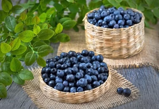 Loai qua duoc vi nhu “sieu thuc pham”: Giup phong ngua K, dau oc minh man