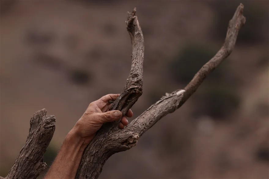 Nơi từng là hồ nước rộng lớn, nơi người dân có thể bơi lội, chèo kayak giờ chỉ còn những cây cột trơ trọi trên nền đất nứt nẻ. Ảnh: Yahoo.