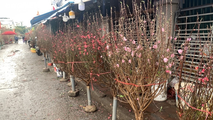 Theo ông Thành, người Hà Nội thường có xu hướng tiết kiệm, lo xa. Nên khi nguồn thu giảm xuống do đại dịch COVID-19, người dân ngay lập tức thắt chặt chi tiêu.