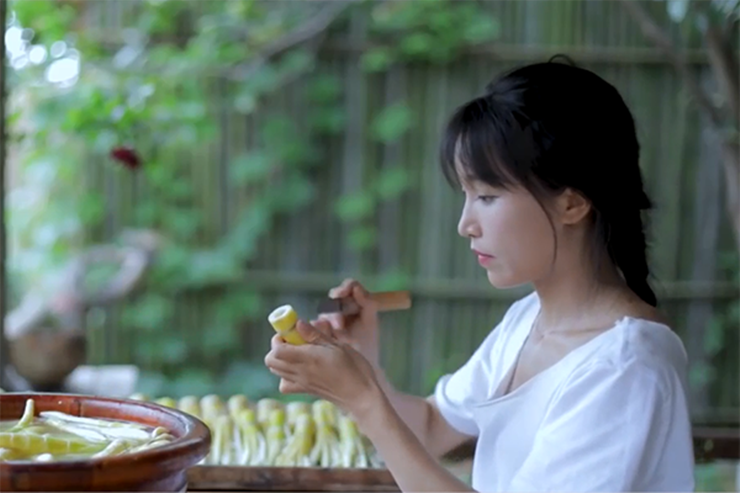 Trước đây, Lý Tử Thất bị đồn kiếm 168 triệu tệ/năm (hơn 580 tỷ đồng), nhưng công ty của cô đã lên tiếng phủ nhận điều này.