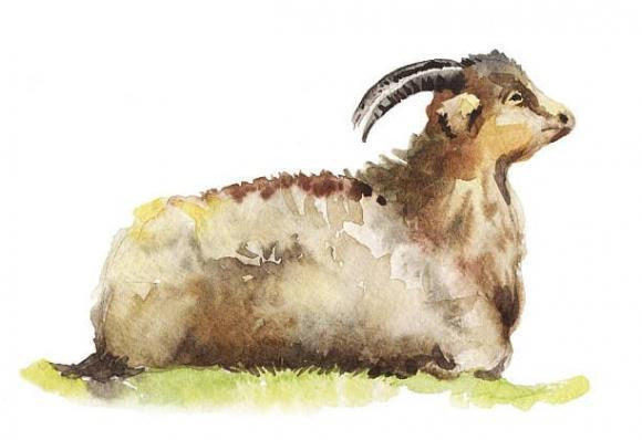 Tuổi Mùi. Mùi với bản tính thật thà, tốt bụng sẽ dễ dàng xây dựng được các mối quan hệ xã giao hài hòa. Con giáp này nhận được nhiều sự cổ vũ, động viên, chia sẻ của người khác nếu phải đối mặt với khó khăn.