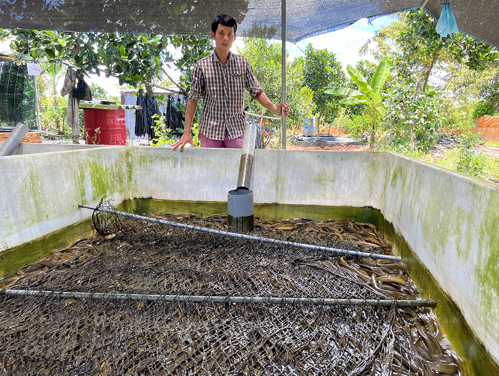 Khoi nghiep that bai, quyet thi dai hoc ve nuoi van con luon, lai tien ty