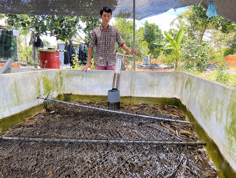 Khoi nghiep that bai, quyet thi dai hoc ve nuoi van con luon, lai tien ty