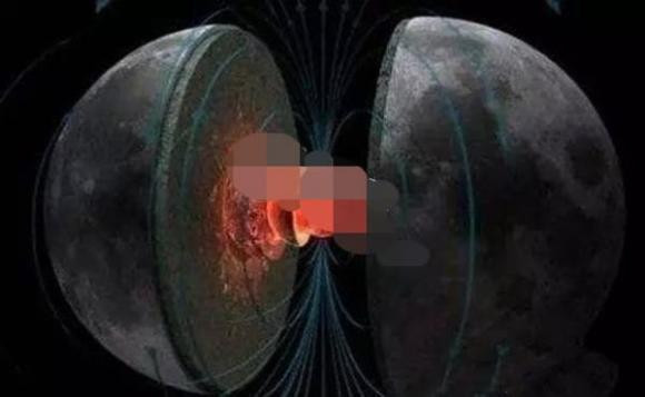 Dieu gi xay ra cach day 60 trieu nam? Tai sao sinh vat tuyet chung?-Hinh-2