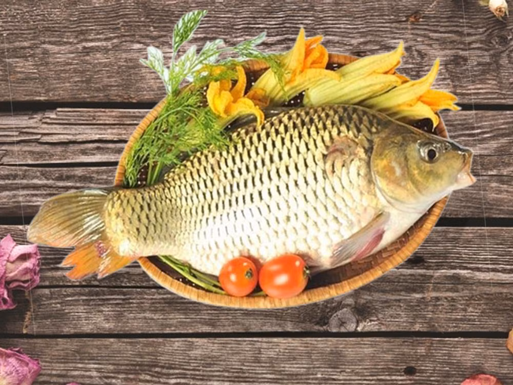 Co 4 loai ca giup tang IQ vun vut, nguoi lon lan tre nho nen an-Hinh-2