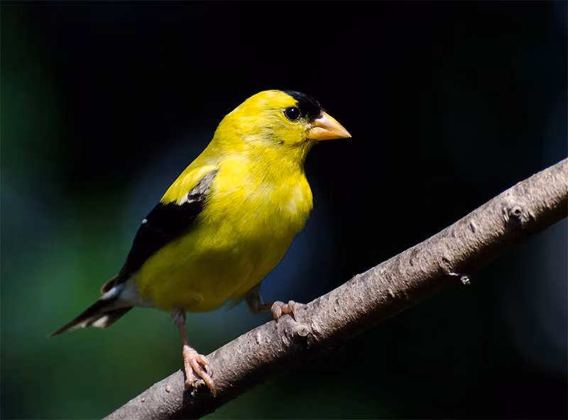 Ai sinh thang Am lich nay van may khong can, cang cham chi, cang nhieu quy nhan