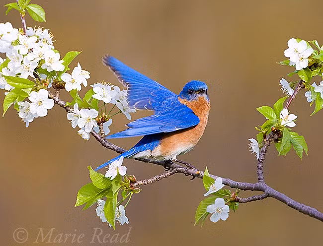 Ai sinh thang Am lich nay van may khong can, cang cham chi, cang nhieu quy nhan-Hinh-3
