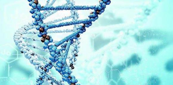 Nguoi benh tieu duong co duoc an dau phong khong?