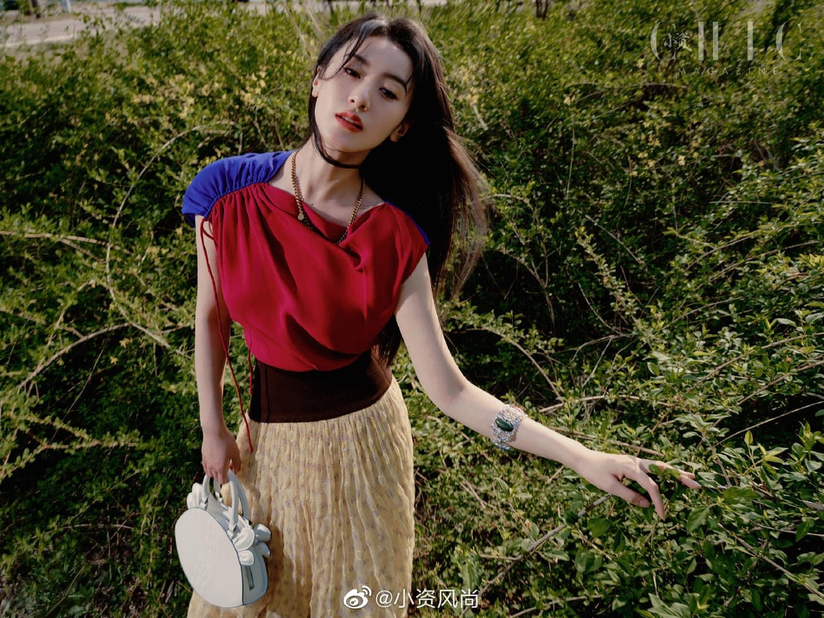 Trang Sina bình luận Viên Băng Nghiên đánh mất tương lai vì lợi ích cá nhân. Cô được đánh giá đang trên đà phát triển vượt bậc, có trong tay những bộ phim truyền hình ăn khách, vai diễn đáng nhớ.