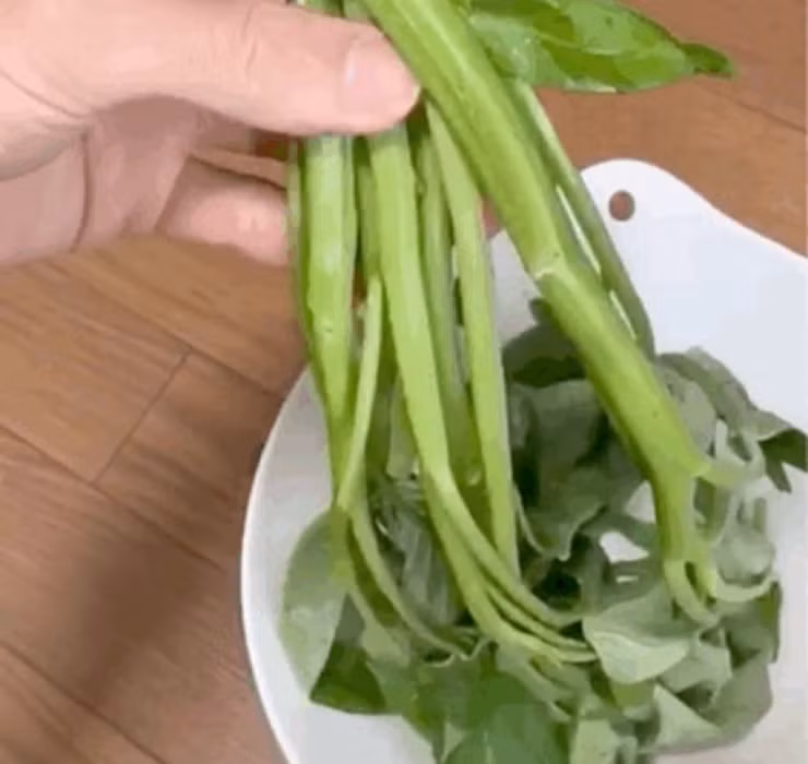 Chính vì vậy, không ít người đã “giật mình” khi thấy loại rau giá rẻ này được bày bán trong siêu thị ở Nhật Bản với mức giá lên tới hơn 300 yên (khoảng 60.000 đồng) cho 1 hộp chỉ gồm... 6 cọng rau.