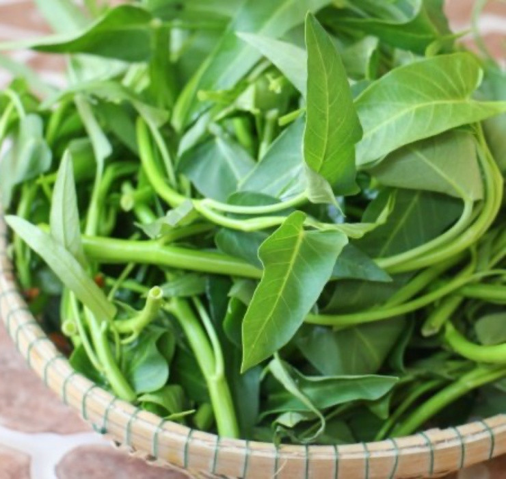 Tại nước ta, loại rau nhà nông này được bán phổ biến ngoài chợ với giá chỉ từ khoảng 5 - 10.000 đồng/bó.