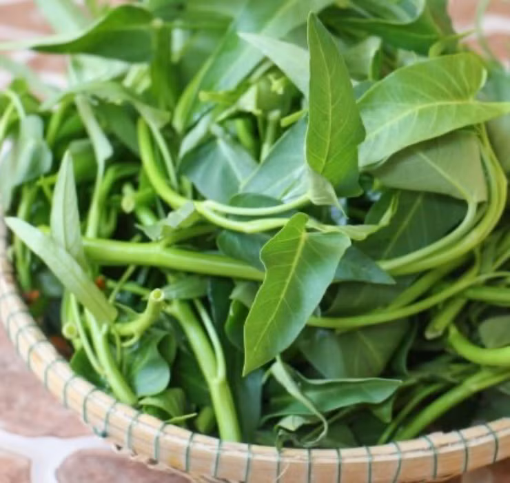 Tại nước ta, loại rau nhà nông này được bán phổ biến ngoài chợ với giá chỉ từ khoảng 5 - 10.000 đồng/bó.