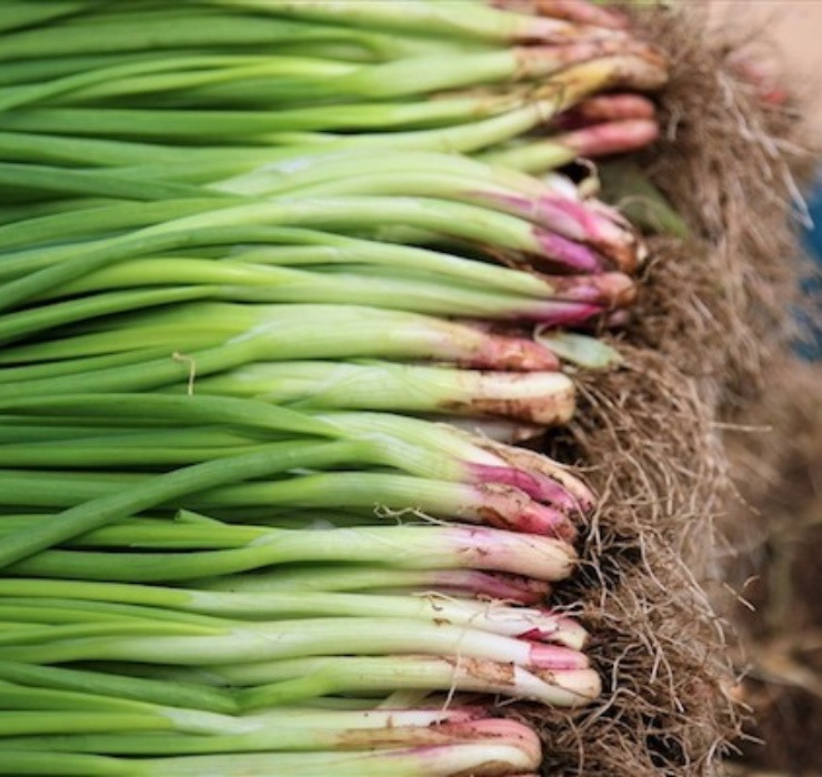 Ở Việt Nam, hành lá có giá chỉ khoảng vài nghìn đồng/bó, thậm chí đôi khi còn được tặng kèm miễn phí khi bạn mua nhiều đồ.