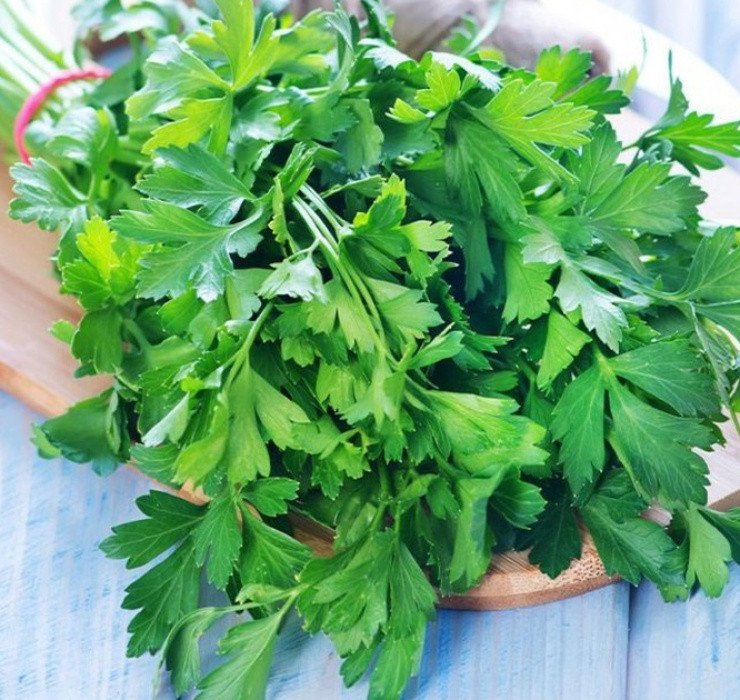 Được biết, giá bán lẻ cho 1 cọng rau mùi tại Hàn Quốc là 50.000 đồng, đối với túi nhỏ thì giá bán là 6.500 won (khoảng 140.000 đồng). Người Việt nhìn thấy mức giá này chắc sẽ nhịn ăn rau mất thôi.