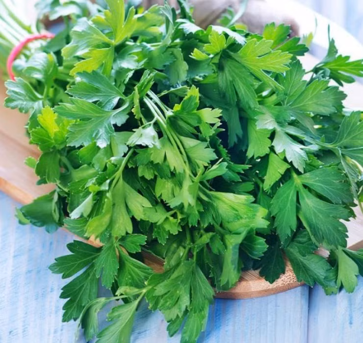 Được biết, giá bán lẻ cho 1 cọng rau mùi tại Hàn Quốc là 50.000 đồng, đối với túi nhỏ thì giá bán là 6.500 won (khoảng 140.000 đồng). Người Việt nhìn thấy mức giá này chắc sẽ nhịn ăn rau mất thôi.