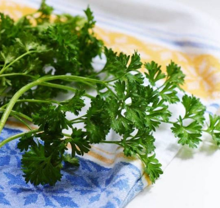 Tuy nhiên, những túi rau mùi xuất khẩu này lại nhận được hàng loạt ý kiến trái chiều khi hương vị không hề thơm ngon như ở Việt Nam.