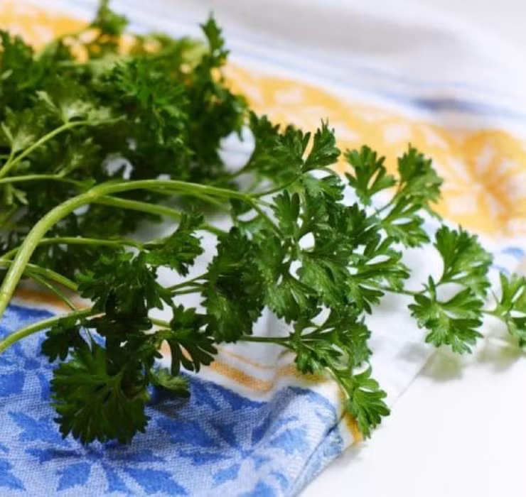 Tuy nhiên, những túi rau mùi xuất khẩu này lại nhận được hàng loạt ý kiến trái chiều khi hương vị không hề thơm ngon như ở Việt Nam.