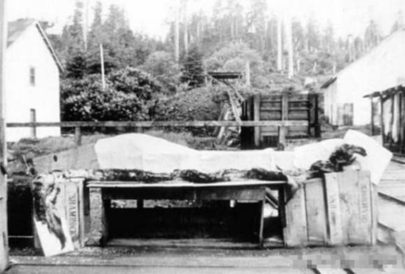 Mot con quai vat bien thuc su voi nhung lan nhin thay thuong xuyen-Hinh-3