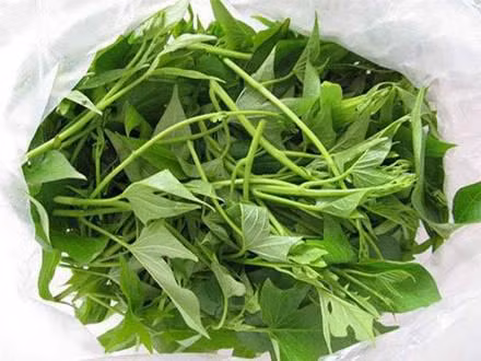 Loai rau giup thanh loc noi tang ma nguoi Nhat cuc thich, dang re nhu beo o cho Viet